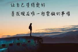 普洱调查公司