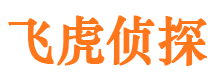 普洱市私家侦探